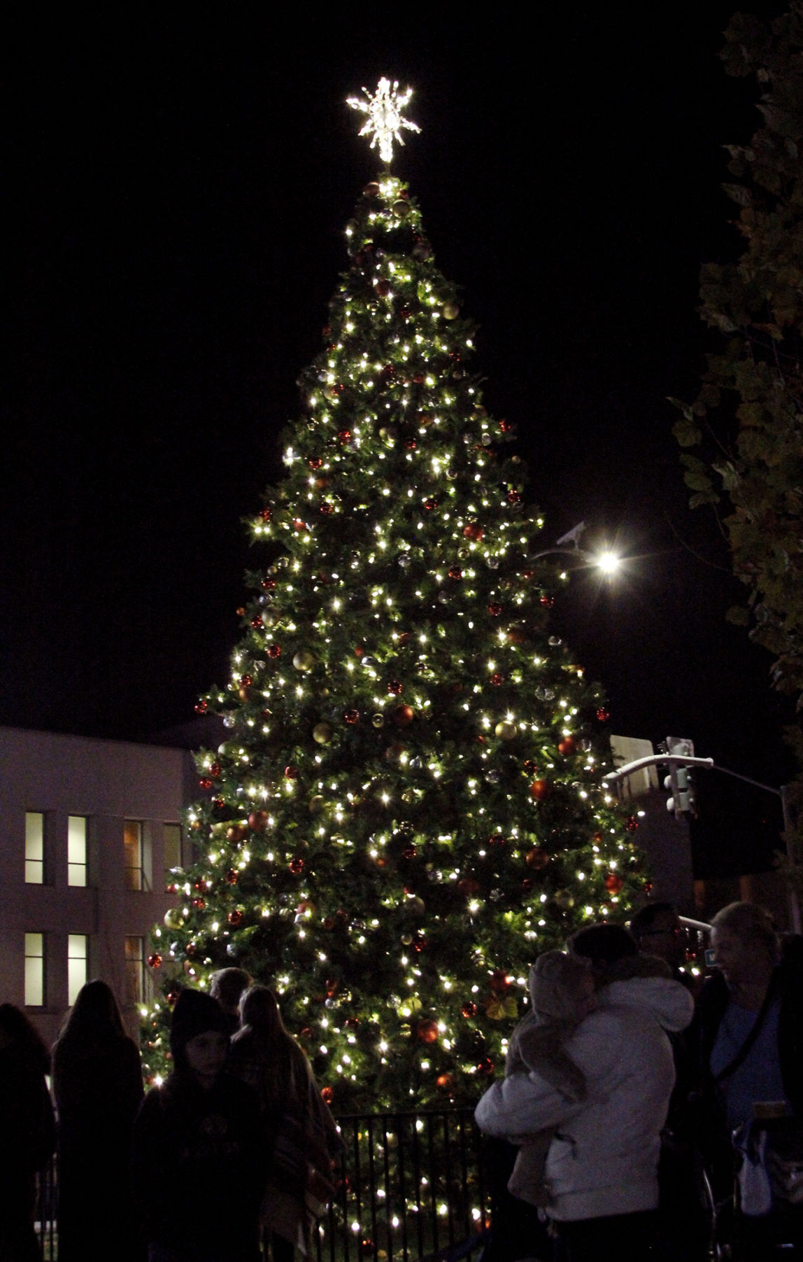Tree lighting kicks off holiday season in Napa